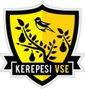 KVSE Logo
